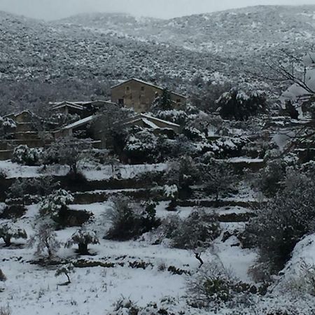 Гостевой дом El Rincon De Aran Лесина Экстерьер фото