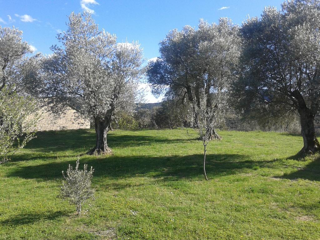 Гостевой дом El Rincon De Aran Лесина Экстерьер фото