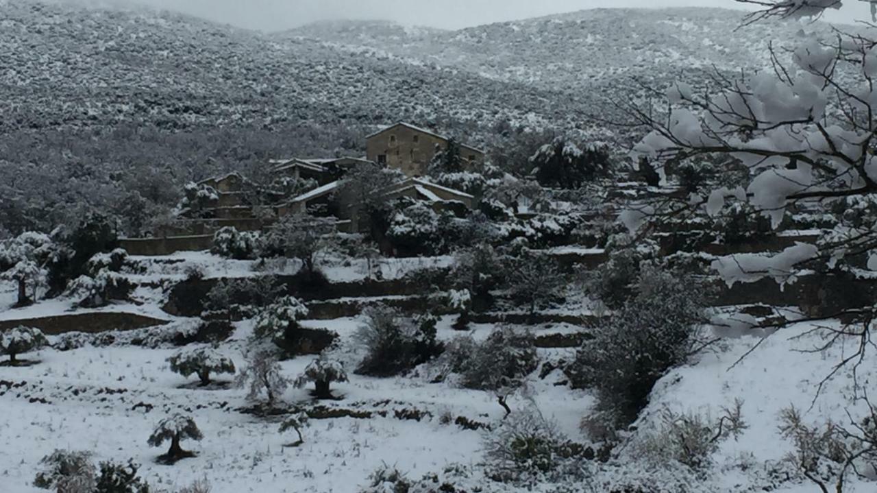 Гостевой дом El Rincon De Aran Лесина Экстерьер фото